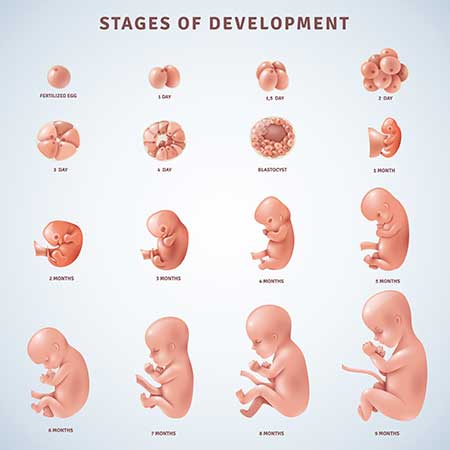 9 weeks infant development