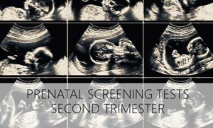 Second Trimester Parental Screening Tests Urban Mamaz