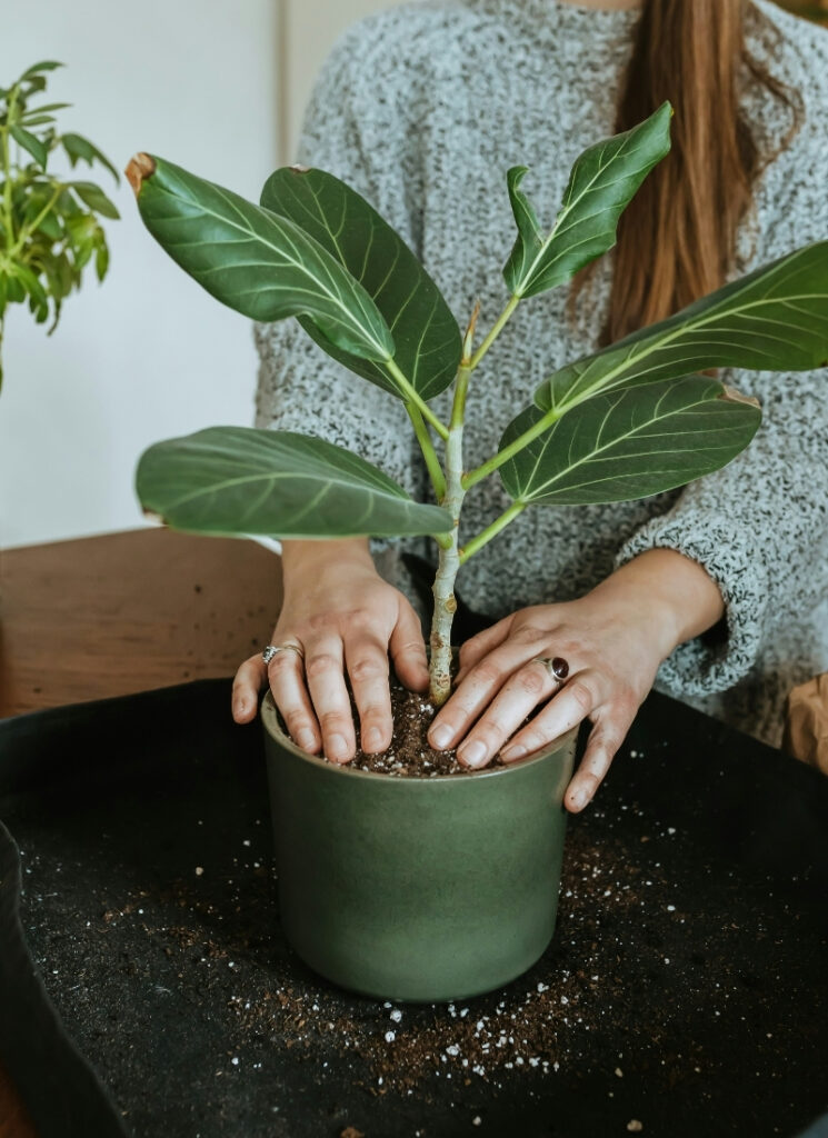 Choose Unique and Fun Pots for Your Plants