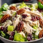 Cranberry-Pecan-Chicken-Salad