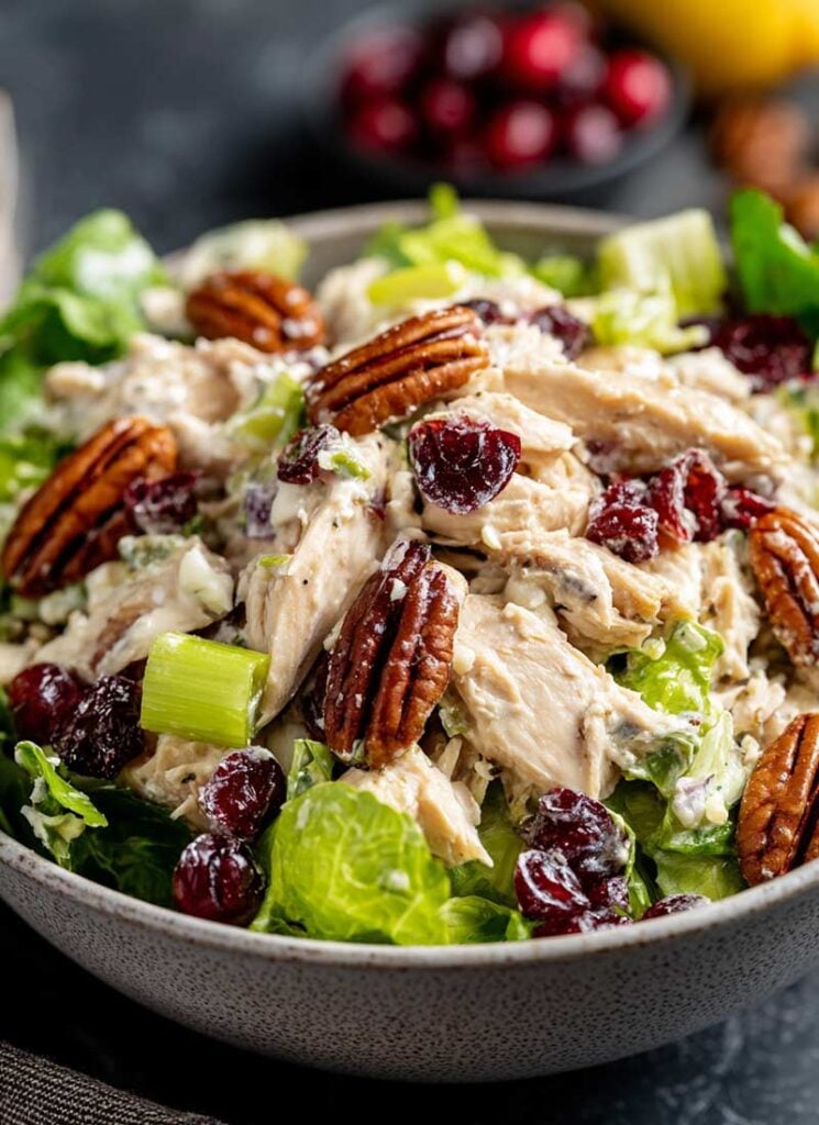 Cranberry-Pecan-Chicken-Salad