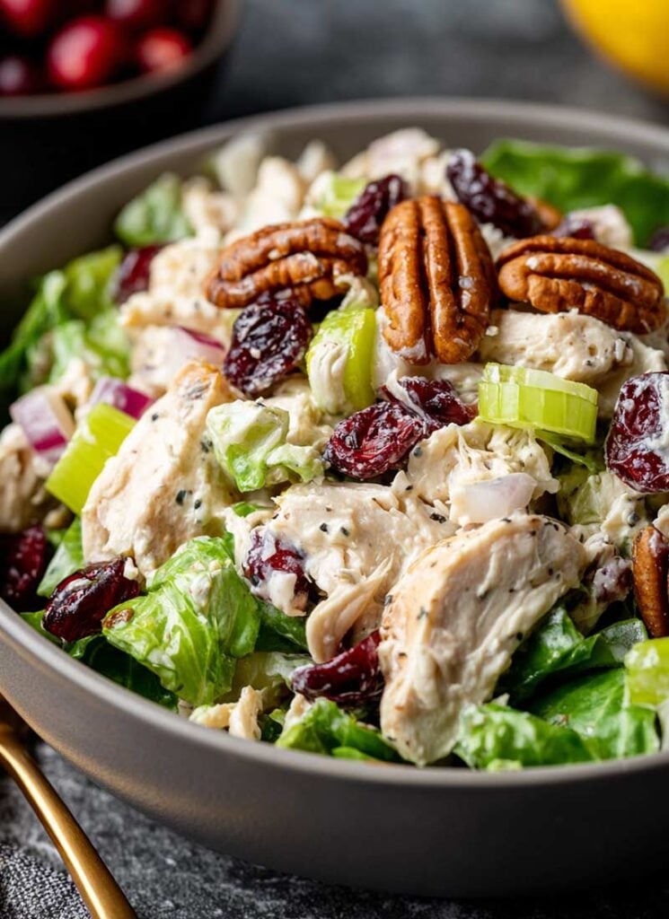 Cranberry-Pecan-Chicken-Salad