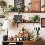 15 Best Ideas for Indoor Decorating with Plants
