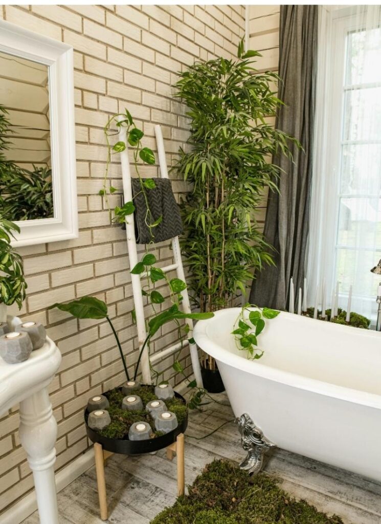 Add Plants to Your Bathroom
