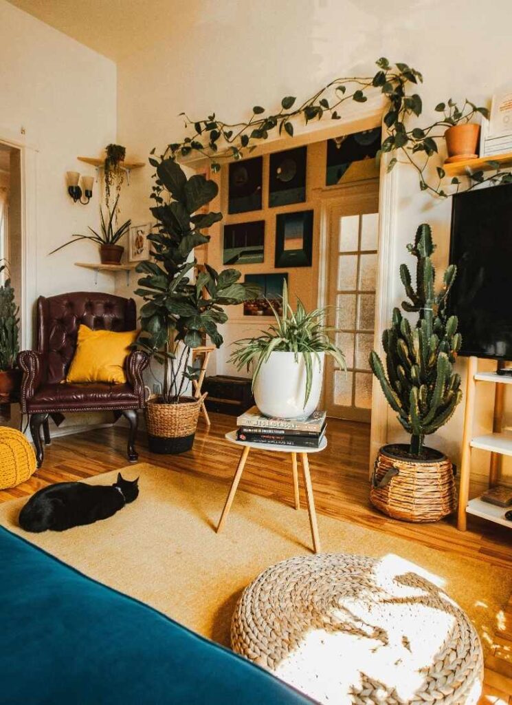 Choose Plant Varieties That Match the Theme of Your Home