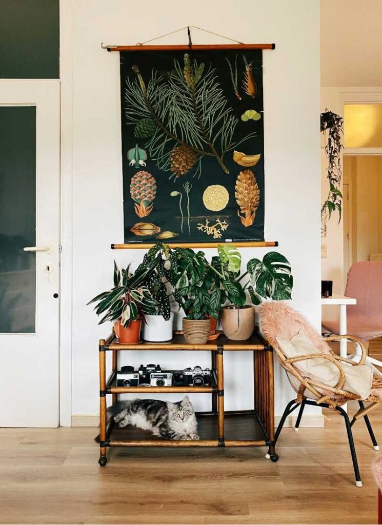 Group a Variety of Plants Together