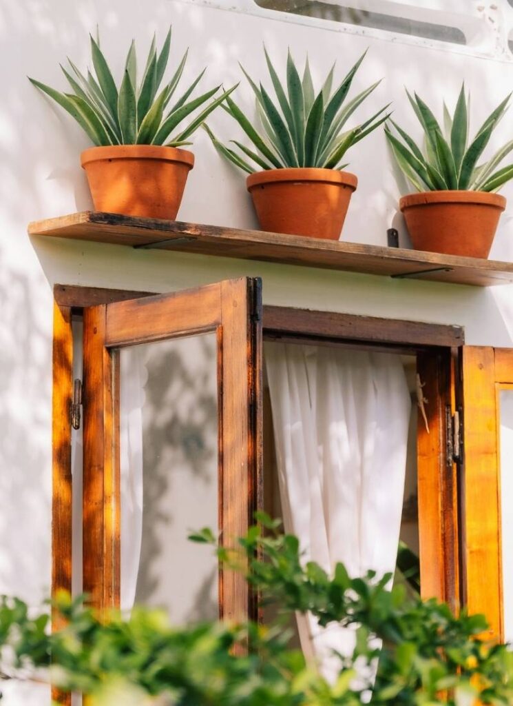 Hang a Plant Shelf Above a Doorway