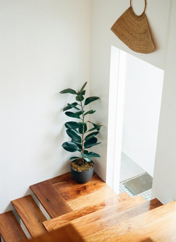 Use Plants to Decorate a Stairway