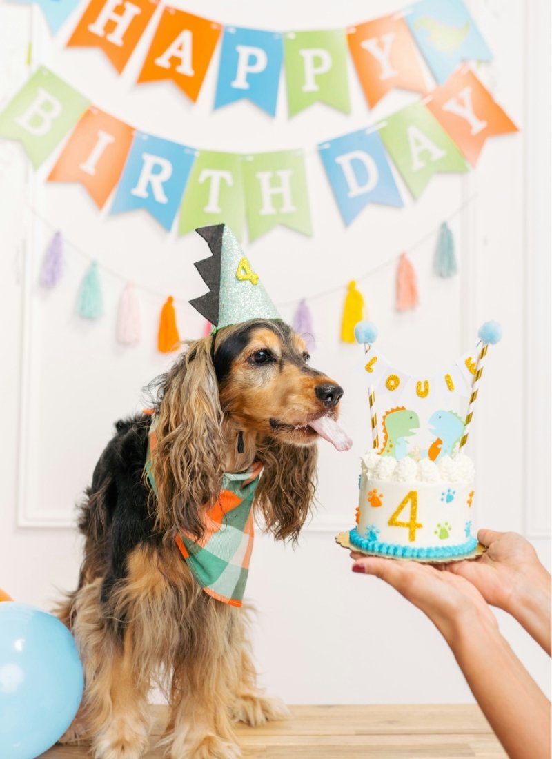 The Ultimate Guide to Dog Birthday Ideas Your Pup Will Love