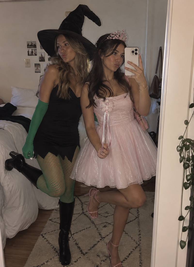 Dorothy and Wicked Witch Costume