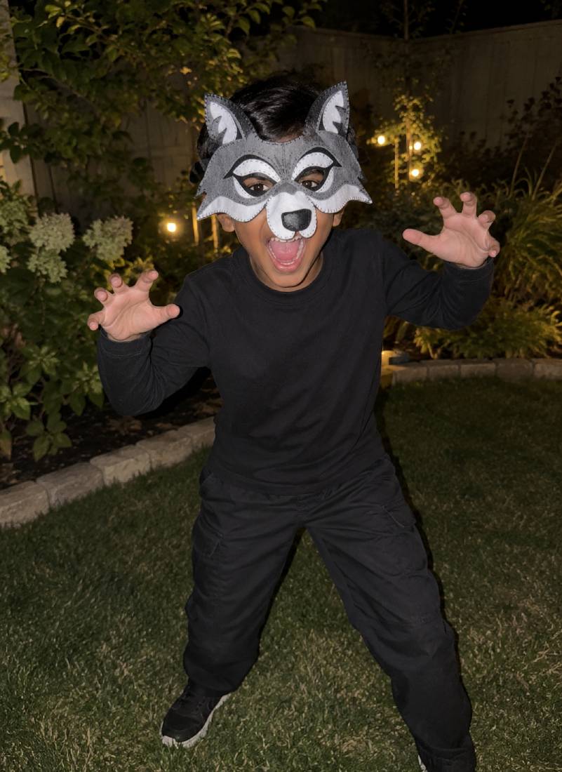 Into The Wild DIY Animal Masks