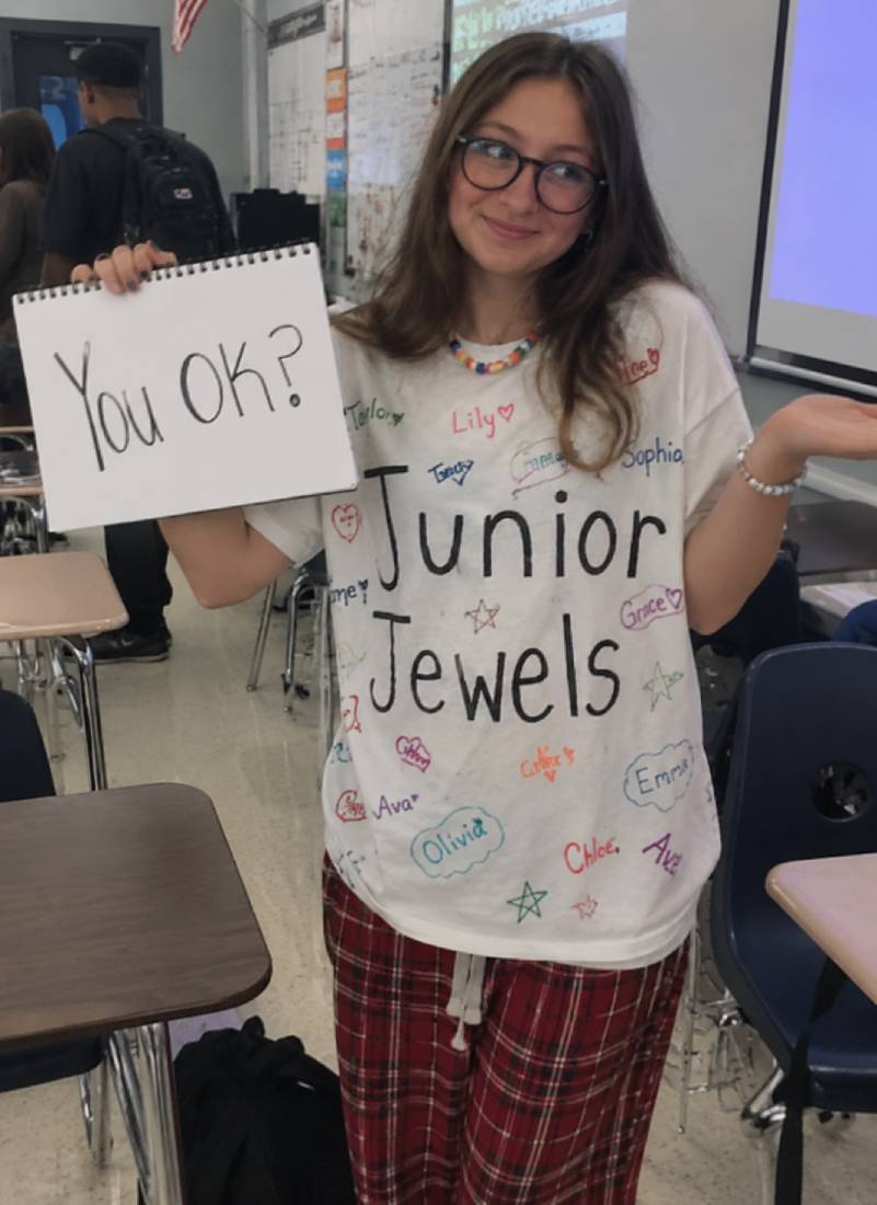This Easy School Friendly Taylor Swift Costume Wins Hearts