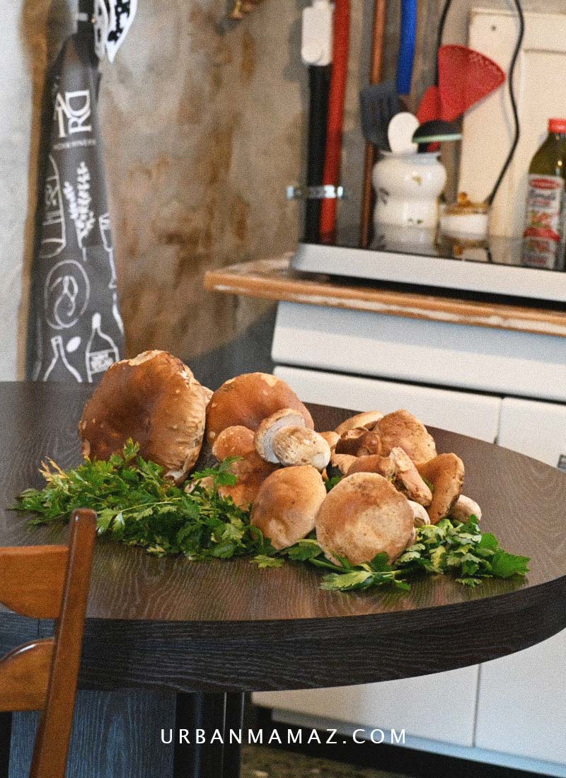 Fresh Porcini Mushrooms