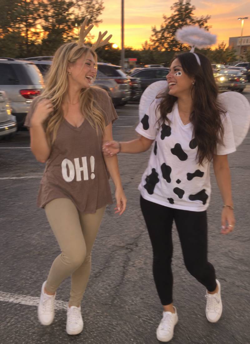 Oh Deer and Holy Cow