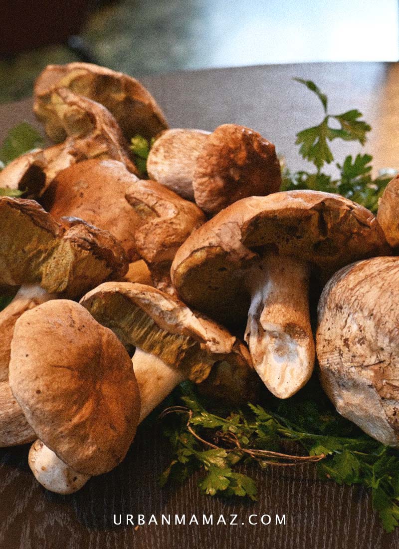 Porcini Mushrooms