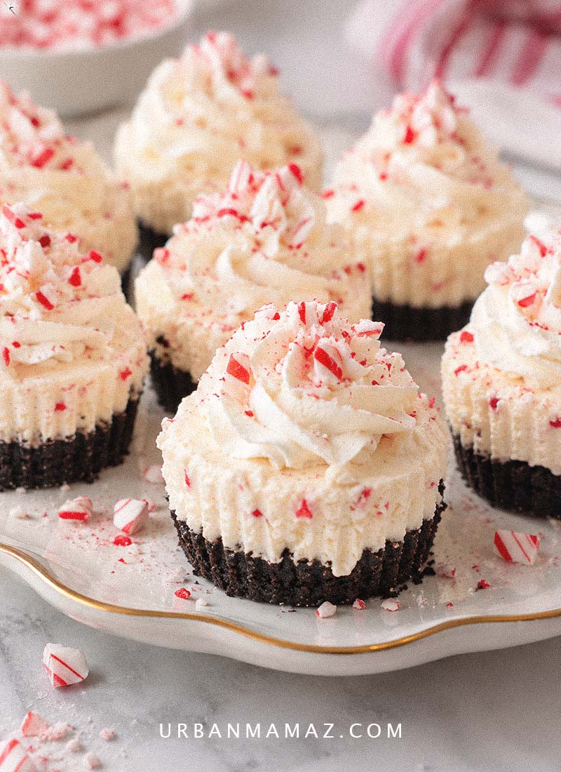 Peppermint mini cheesecakes recipe